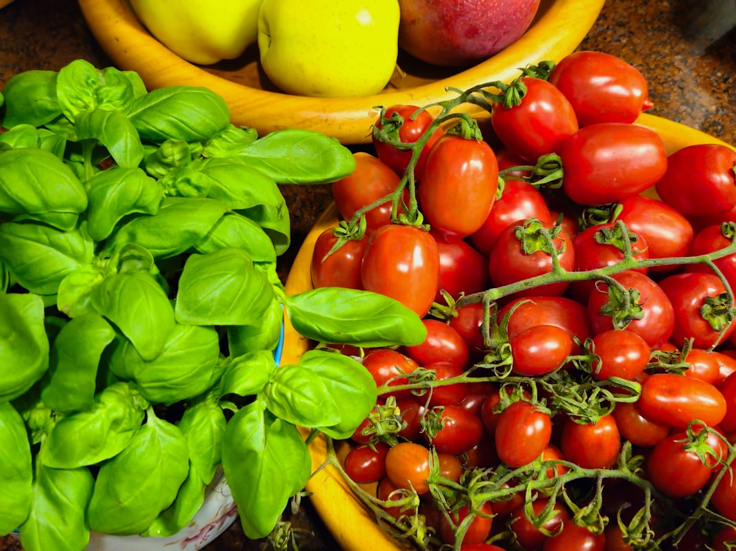 Holistic health and vitality article